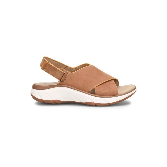 BIONICA | ANDRYA-PINE CONE BIONICA | ANDRYA-PINE CONE