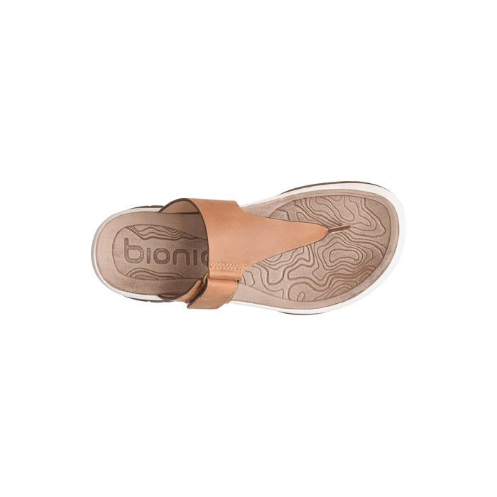 BIONICA | NIKLAS-ALMOND BIONICA | NIKLAS-ALMOND